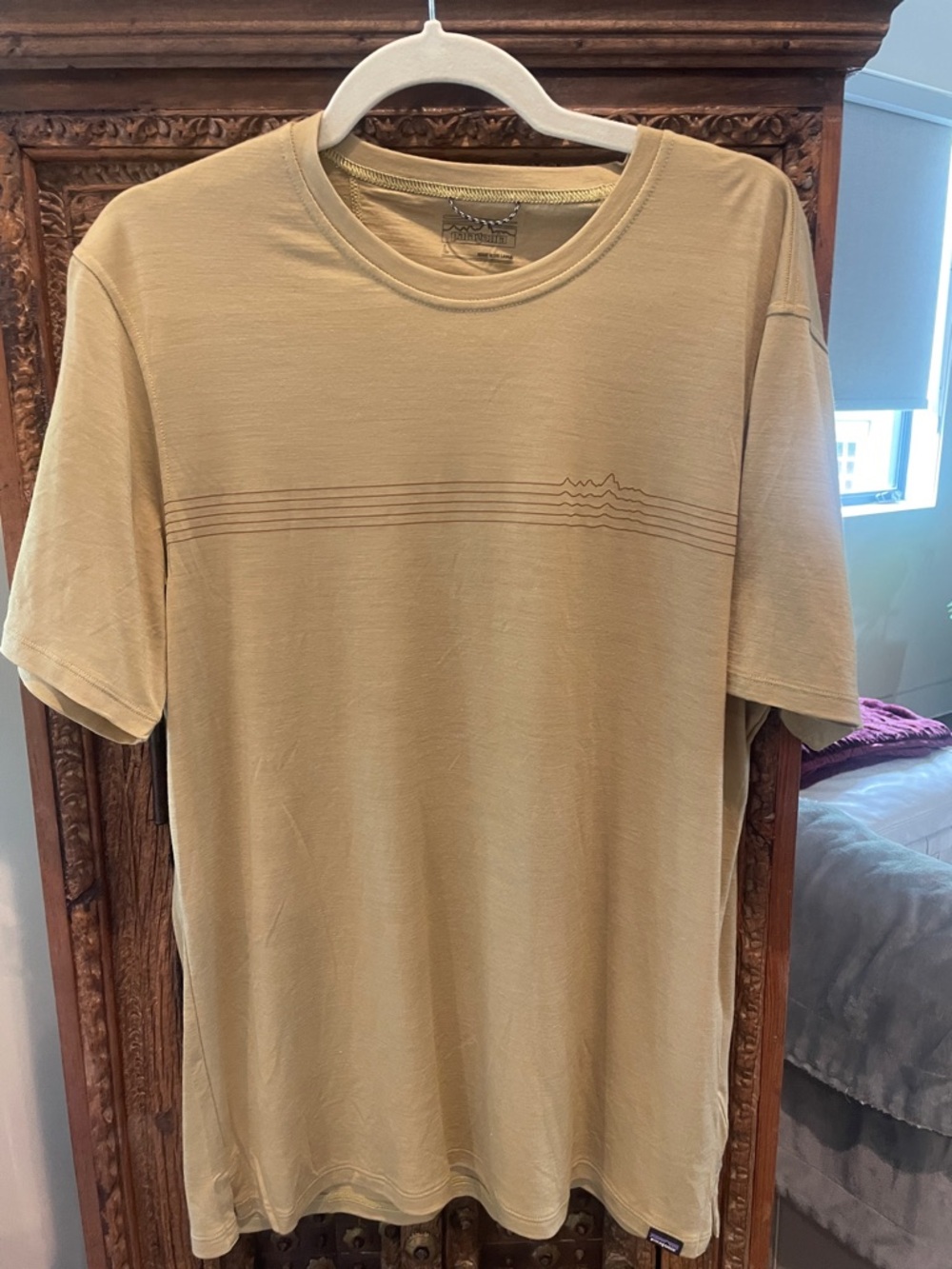 Patagonia Men’s Tee